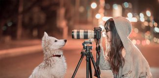 10 razpnes porque las mascotas mejoran tu salud