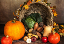 5 Grandes ideas para preparar comida vegetariana 5 Grandes ideas para preparar comida vegetariana