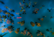 Fotografías con drones. Las tomas más increíbles del mundo realizadas desde el aire